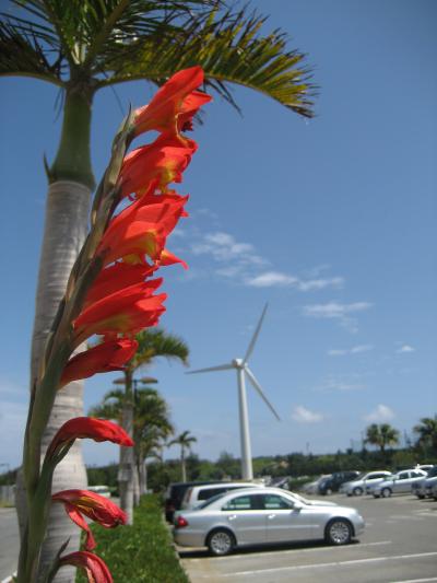 残波岬ロイヤルホテル～ＧＷ子連れ旅行～