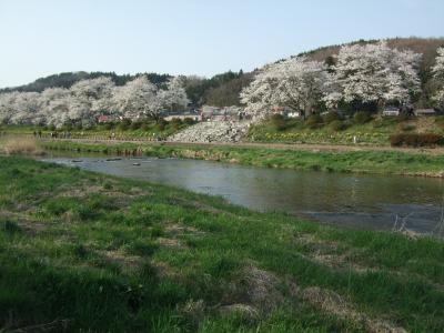 夏井千本桜