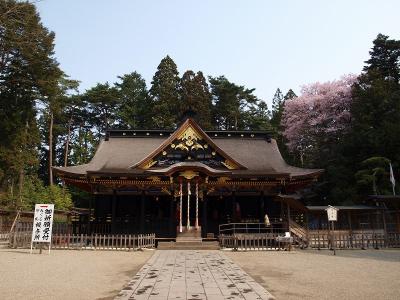 桜紀行　みちのく仙台ー１　大崎八幡宮