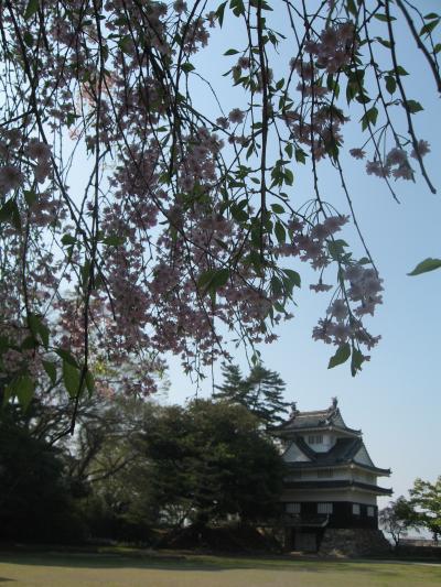 名残の花見～豊橋公園・吉田城跡の桜～