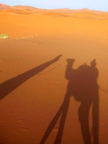 2008年 6月 モロッコ ＋サハラ砂漠