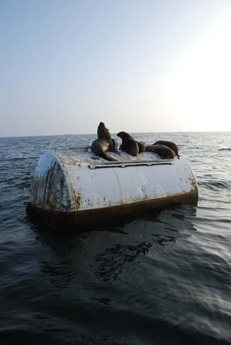 2007年 7月 チリ (アリカ)