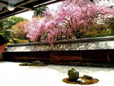 京都・桜づくし(1)