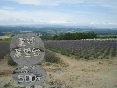 北海道新婚旅行記 その5 富良野~美瑛編