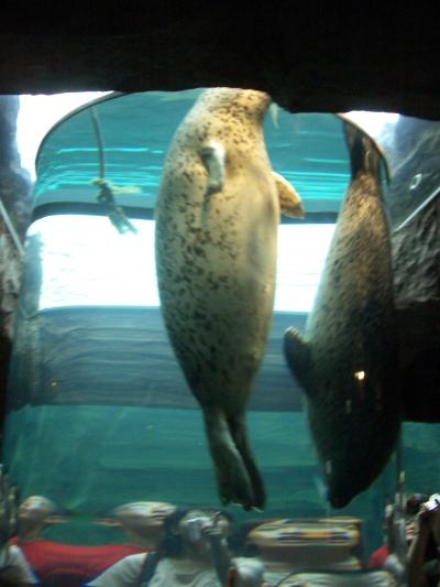 北海道新婚旅行記 その6 旭川編