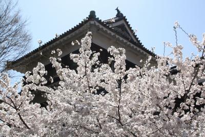 臥竜公園の桜と上田千本桜