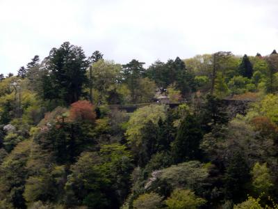 青葉繁れる　仙台城址、政宗公と愛姫の愛の物語　その５