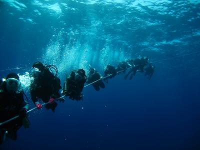 まりものダイビング日記　☆∵～in西表島～∵☆