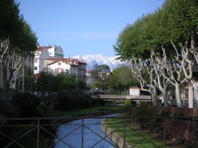 ラングドックルーション!シャトー巡りの旅