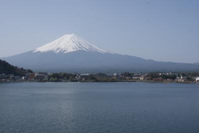河口湖からの富士山(昼)