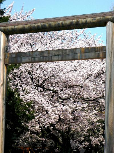 さくら花咲く靖国神社境内で　☆平和・不戦の思いを確かめて