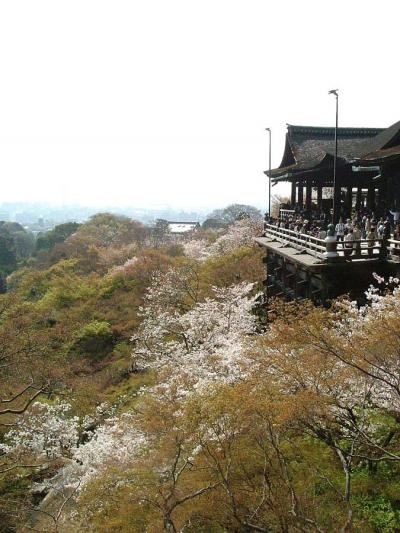 京都・桜づくし(2)