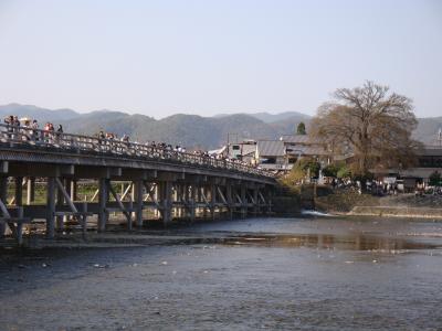 春の嵯峨野、ほのぼのお花見。