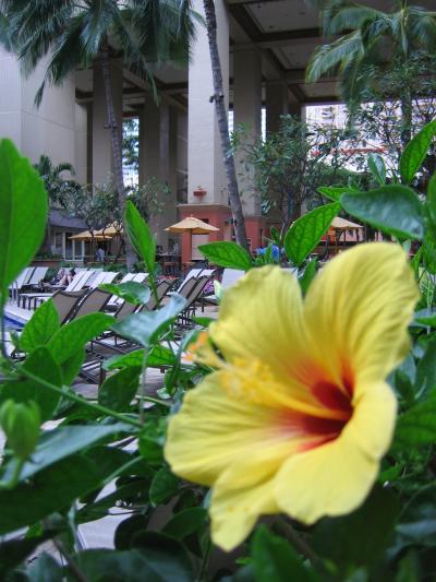 暮らすように滞在する旅ハワイ３　●２日目●　