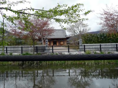 春雨、慈眼寺　　２００９．４．２６