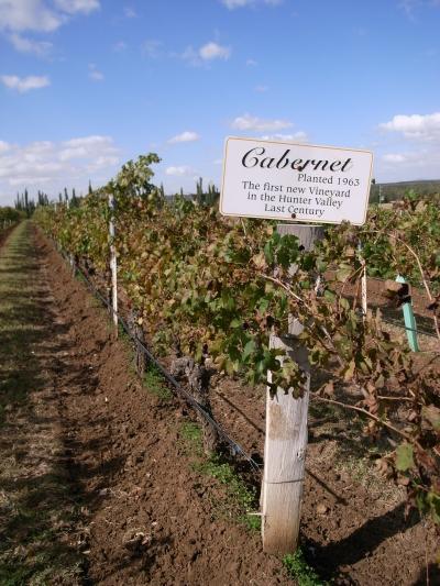 Hunter Valley Winery