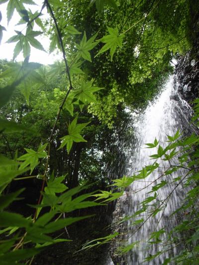 茨城県（袋田の滝）飯、めし、メシ、風呂！！って何処の亭主関白？いえ、うちの妻です。