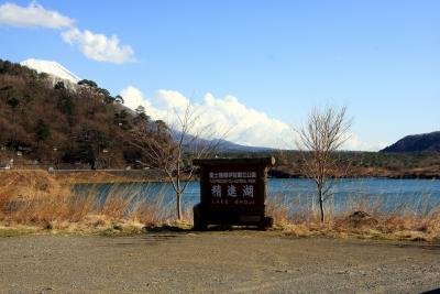 精進湖と富士山
