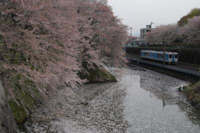 春の東北スペシャルルート４日間　?【山形・霞城公園】