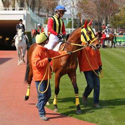 札幌競馬場（道営開催）