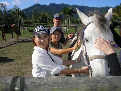 ケアンズで乗馬