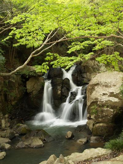 滝メグラーが行く２０　新緑美しい尼ン滝　兵庫県三田市