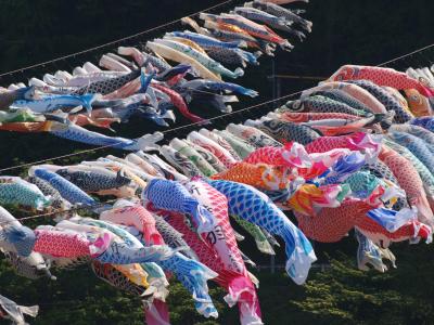 相模原　日本の水道の発祥、横浜水道みちと田名のこいのぼり