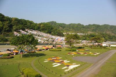 泳げ鯉のぼり相模川