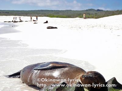 ガラパゴス諸島を周遊して来ました。2009年4月