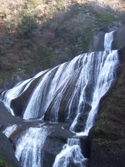 新しい観ばく台