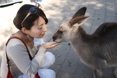 １１日間　オーストラリア　東海岸４都市周遊　カンタスCクラス利用