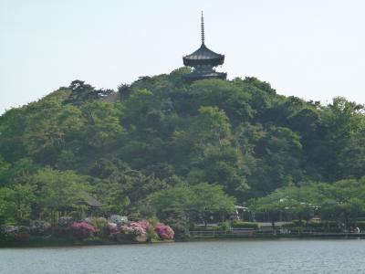 新緑の三渓園　その１