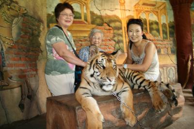 バリ島　５泊６日　ベンガルトラ抱っこの旅　JALCクラス利用　　