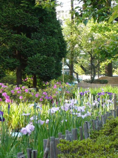 2009年5月　小田原お城祭り前日