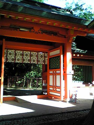 大宮・氷川神社、秋の散策