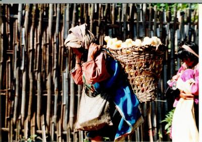 35年前のタイ北部辺境紀行