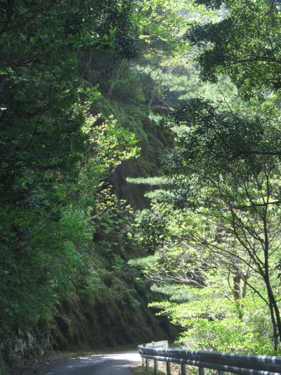 新緑の宮崎