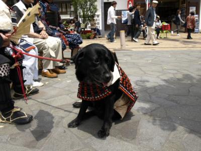 2009年5月 小田原北條五代祭り