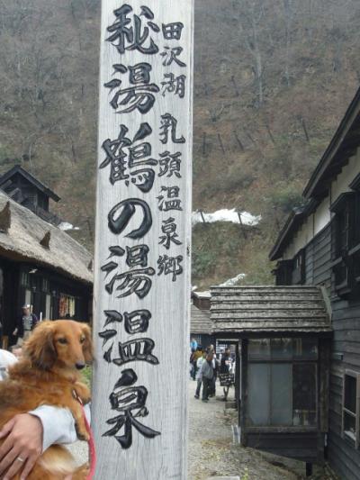 けびぞーと行く「鶴の湯温泉」＆「田沢湖」