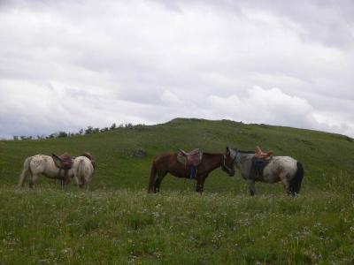 2006モンゴル８日間乗馬の旅