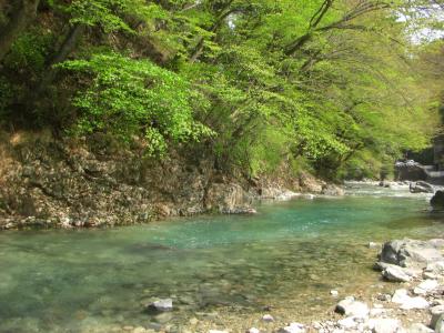 行きたかった四万温泉。よかった。