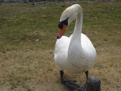 2009-03偕楽園（日帰り）