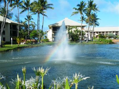野鳥の楽園『ヒルトン・カウアイビーチ・リゾート』野鳥編