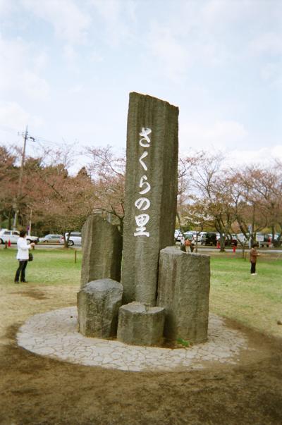 桜100選静岡編（さくらの里）