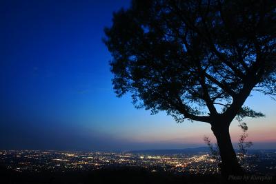 『新日本三大夜景』＆『夜景百選』　若草山から見る夜景。平城京、生駒山、京都市内まで一望できます。　/奈良県奈良市