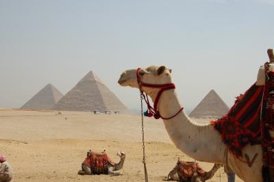 ファラオに会いたくて　エジプト?　準備