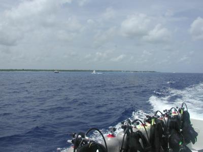 メキシコ★コスメルダイビング&カンクン