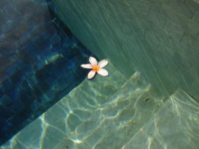 ランカウイ島旅行記