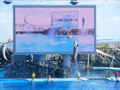 ☆★カンデオホテルと名古屋港水族館（水族館編）★☆