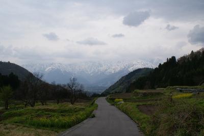 青鬼の棚田